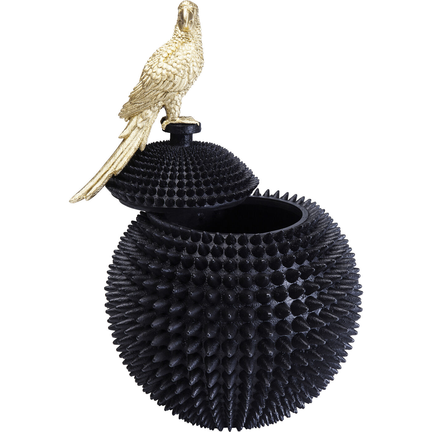 Шкатулка Parrot