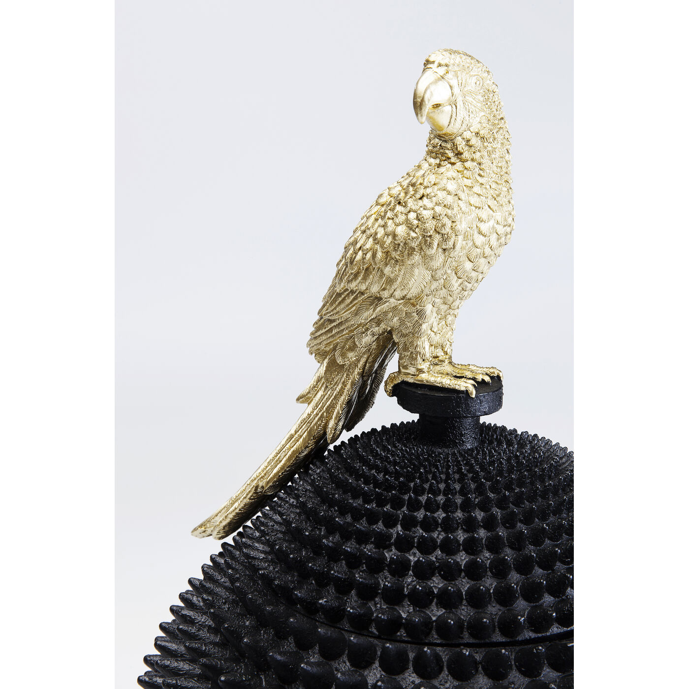 Шкатулка Parrot
