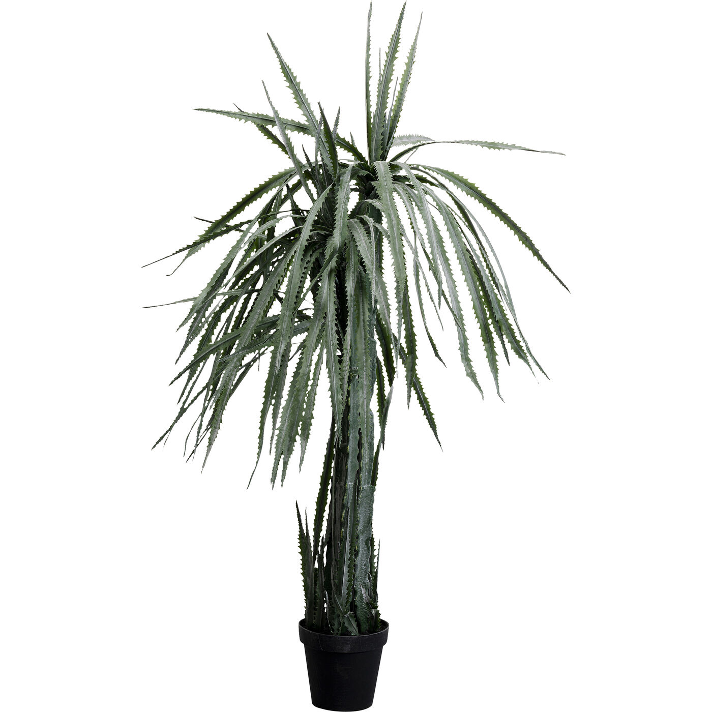 Растение декоративное Dragon Tree 155 см