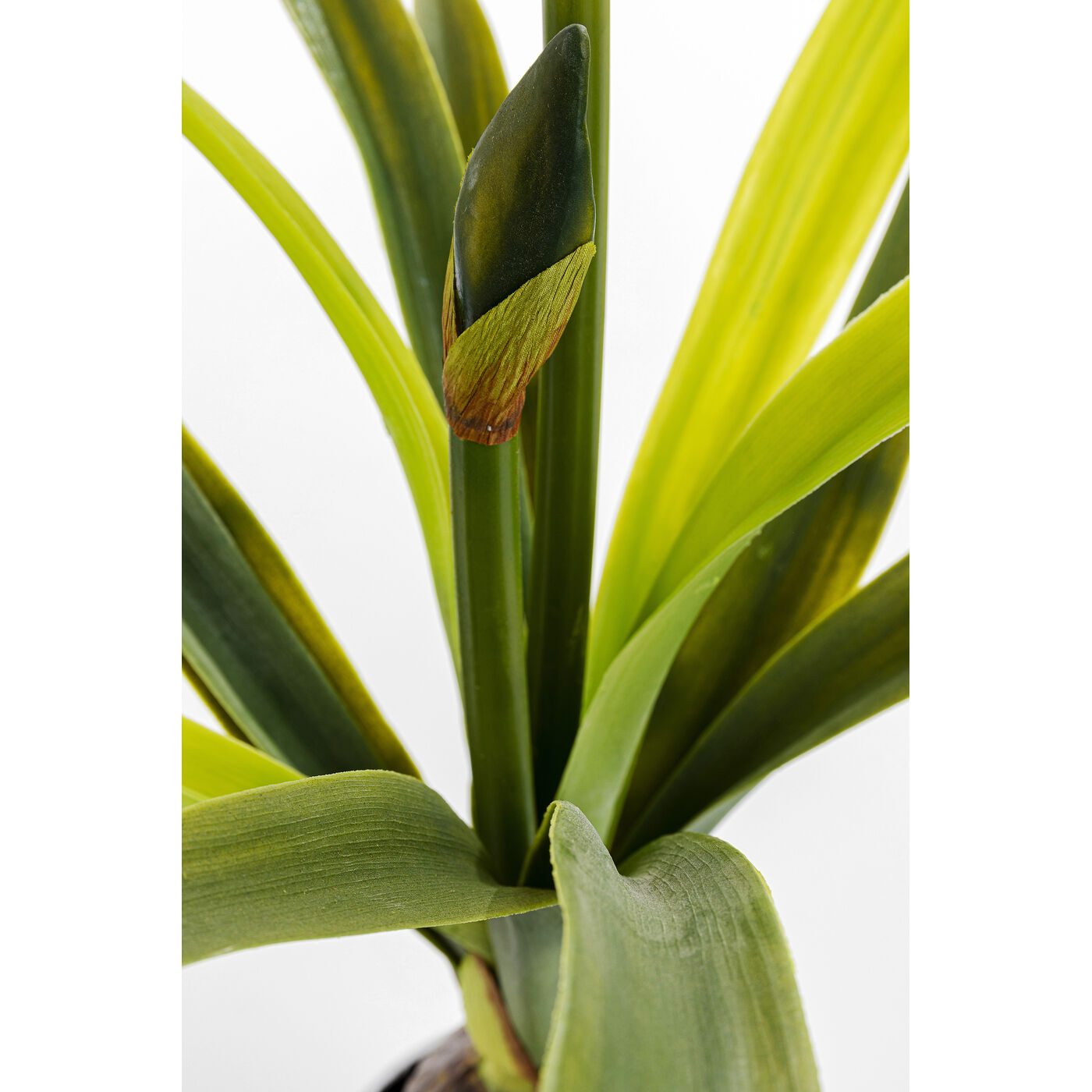 Декоративный элемент Amaryllis White 78