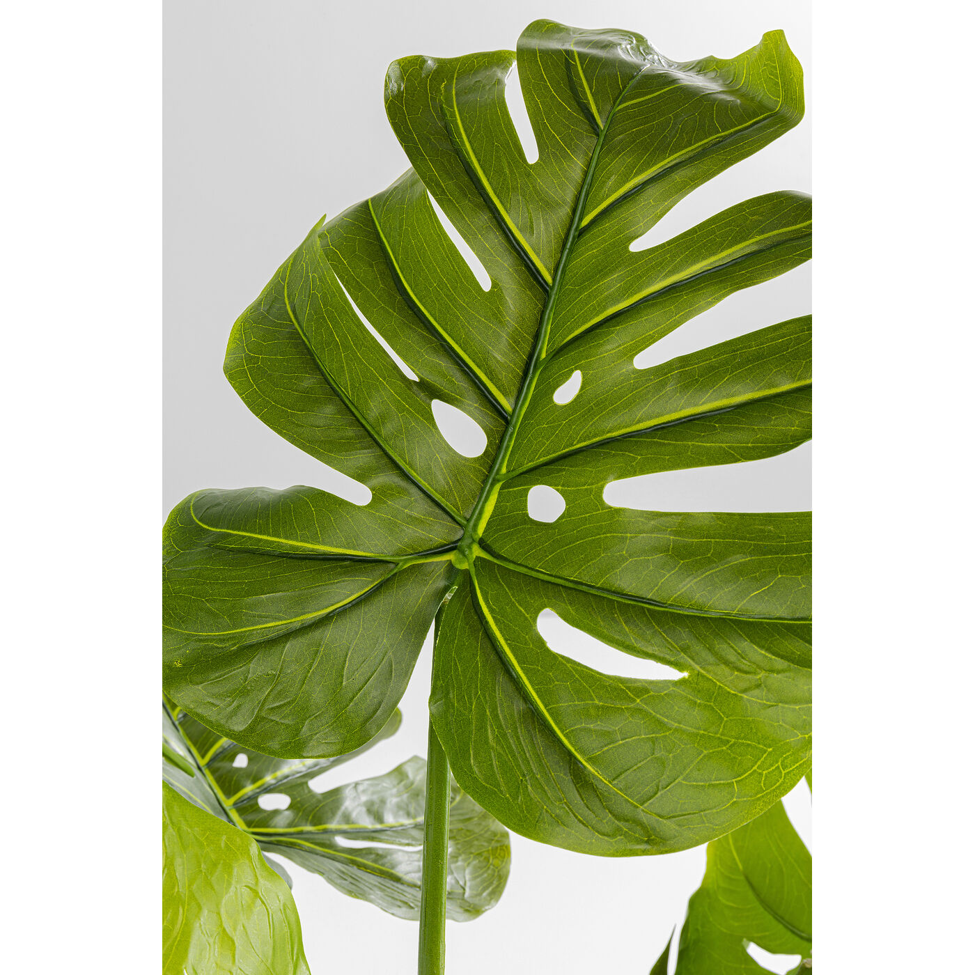 Растение декоративное Monstera 110 см