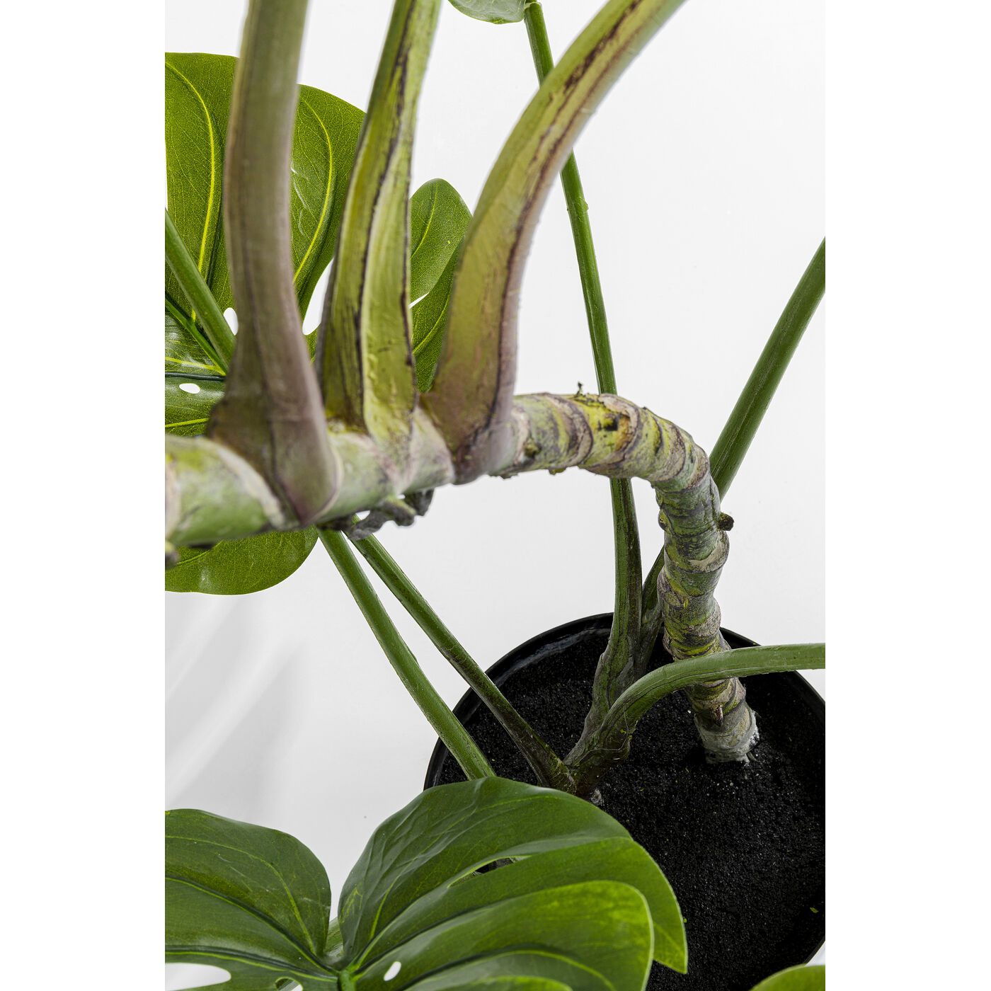 Растение декоративное Monstera 110 см
