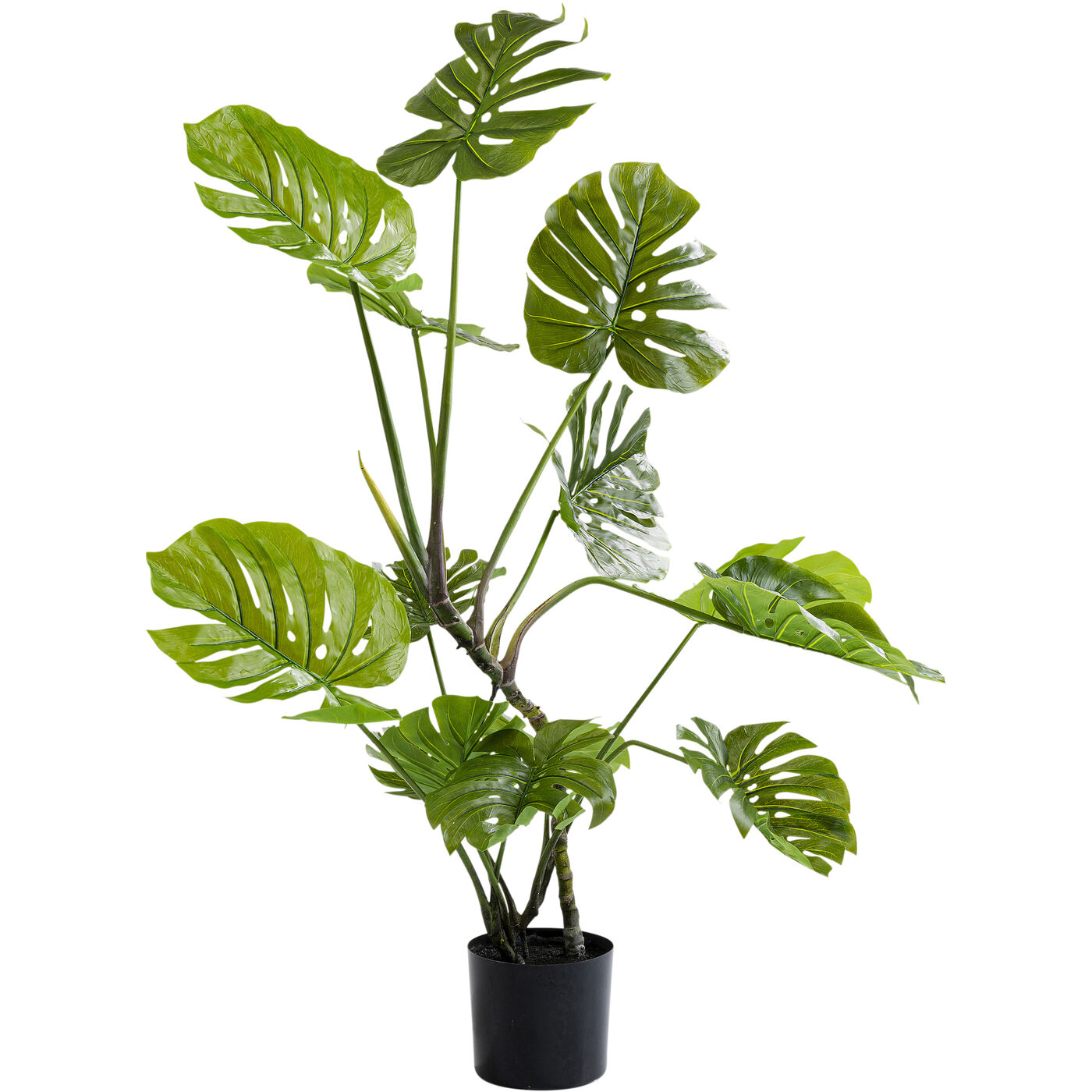 Растение декоративное Monstera 110 см