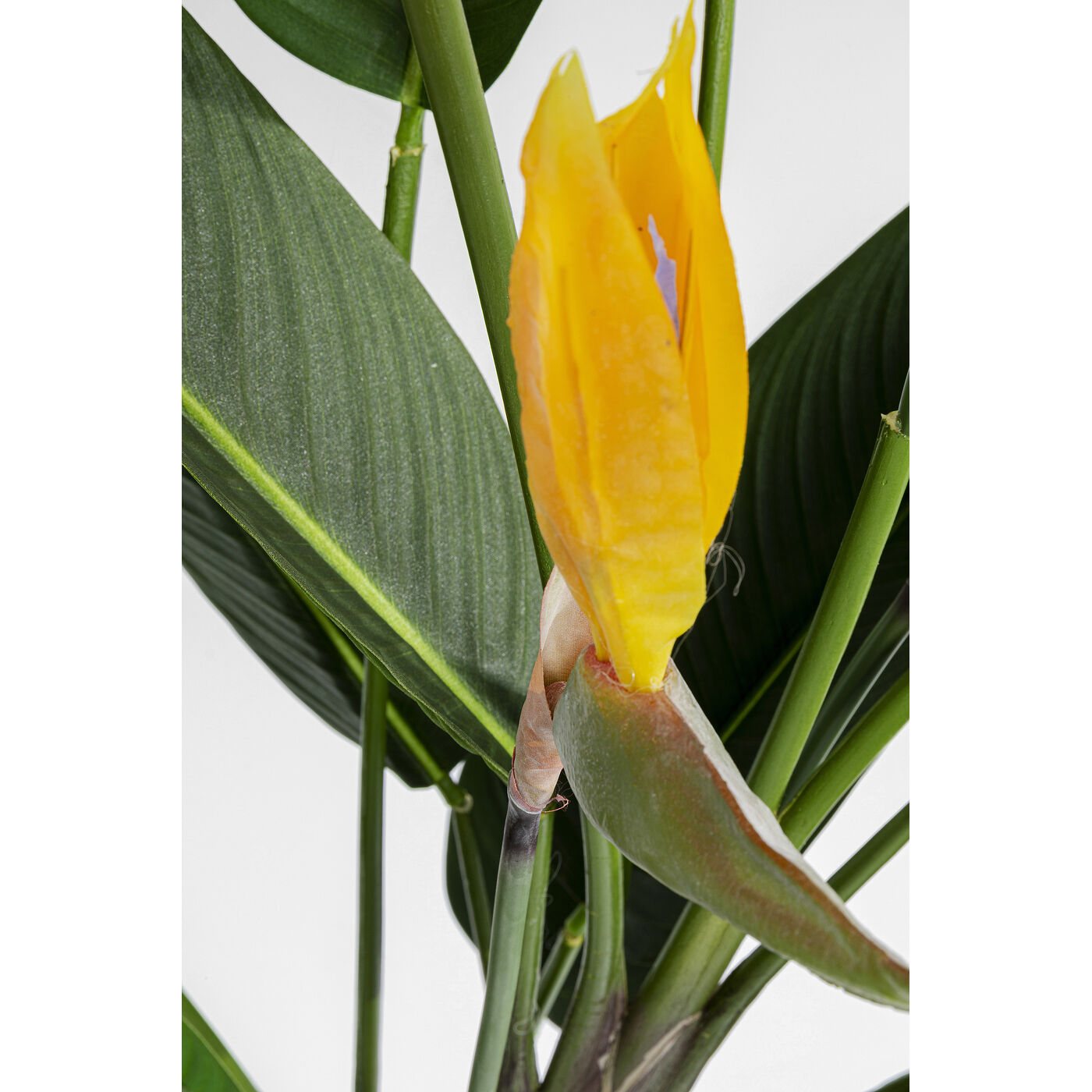 Растение декоративное Paradise Flowers 190 см