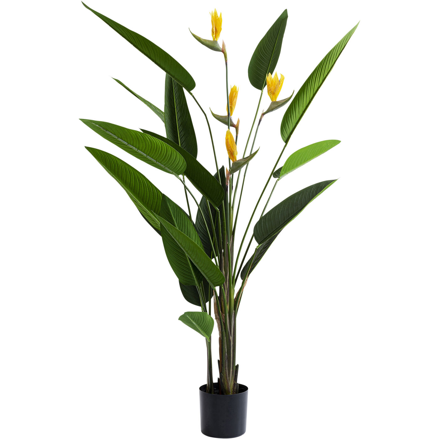 Растение декоративное Paradise Flowers 190 см