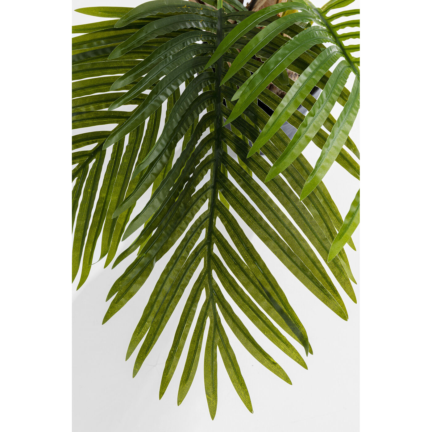 Растение декоративное Palm Tree 190 см