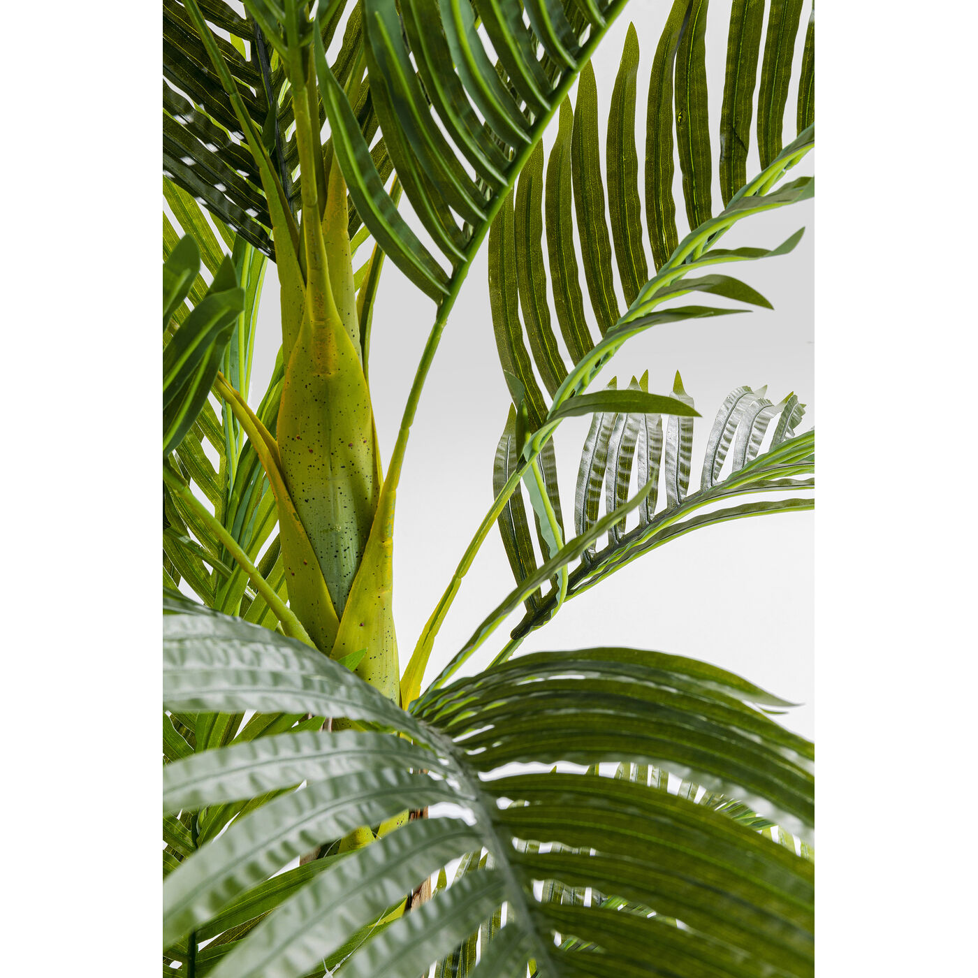 Растение декоративное Palm Tree 190 см