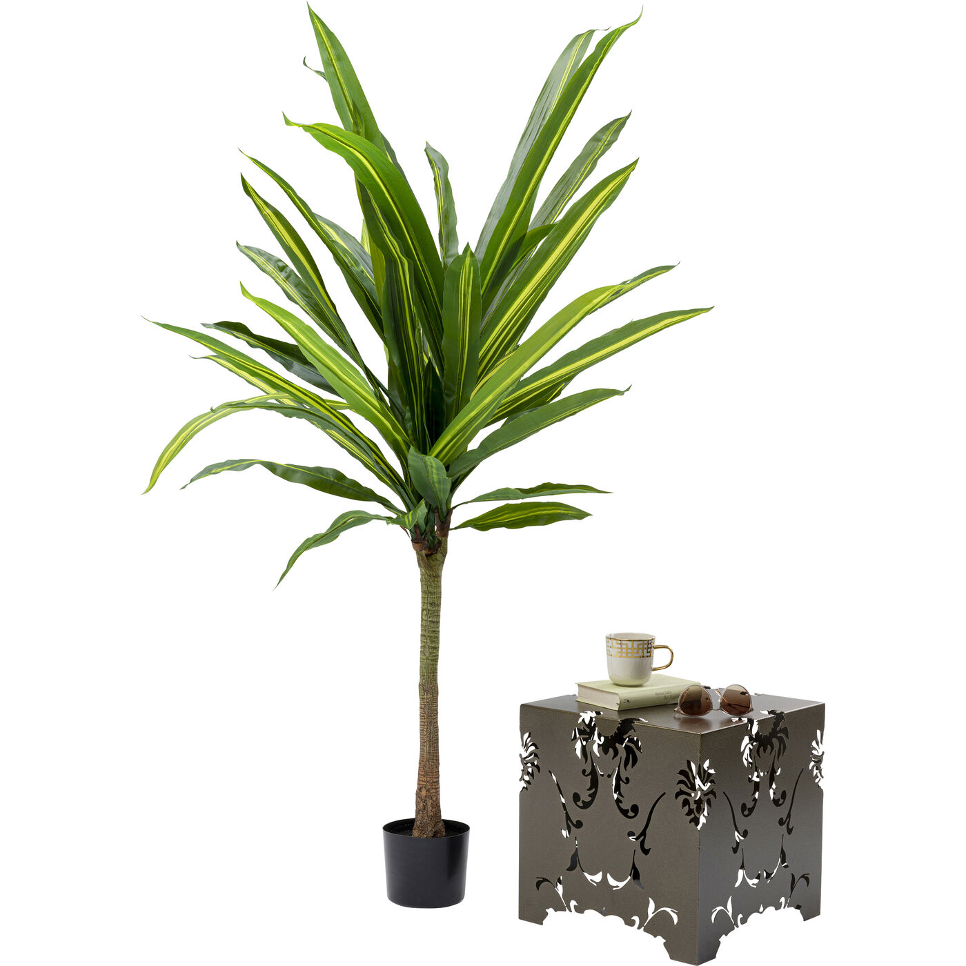 Растение декоративное Dracaena Fragrans 180 см