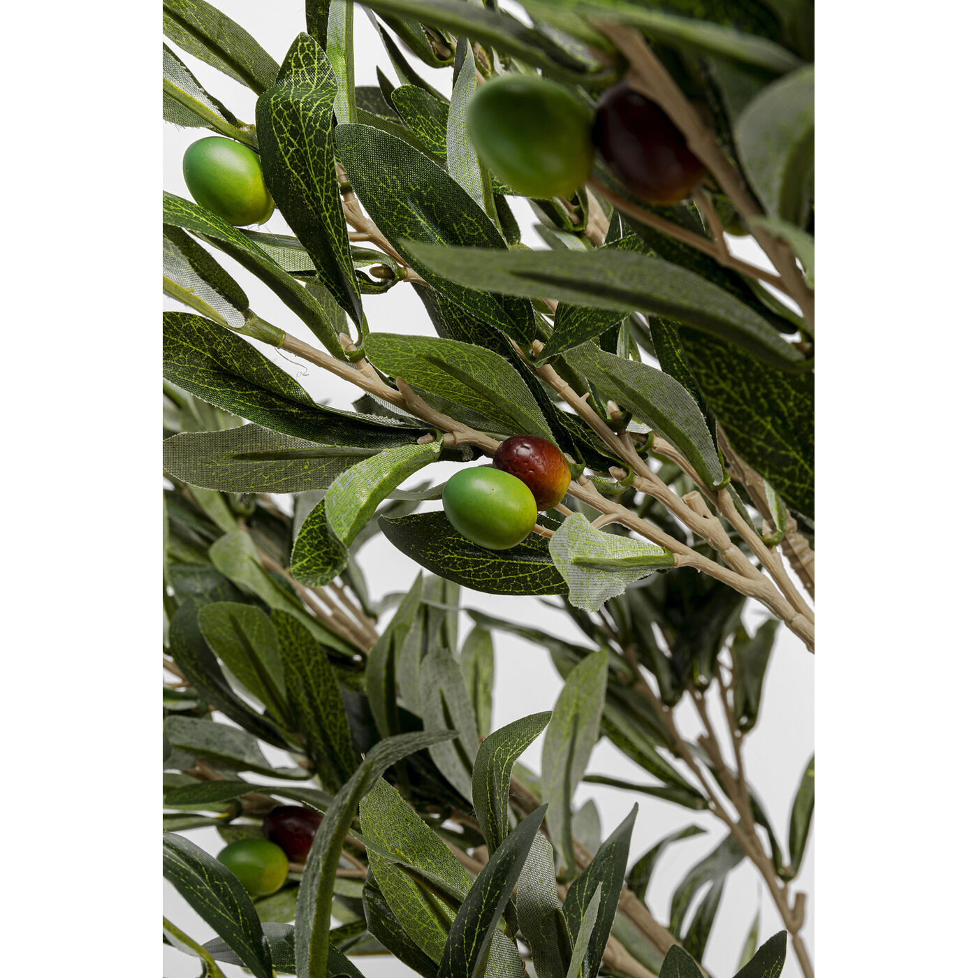 Растение декоративное Olive Tree 120 см