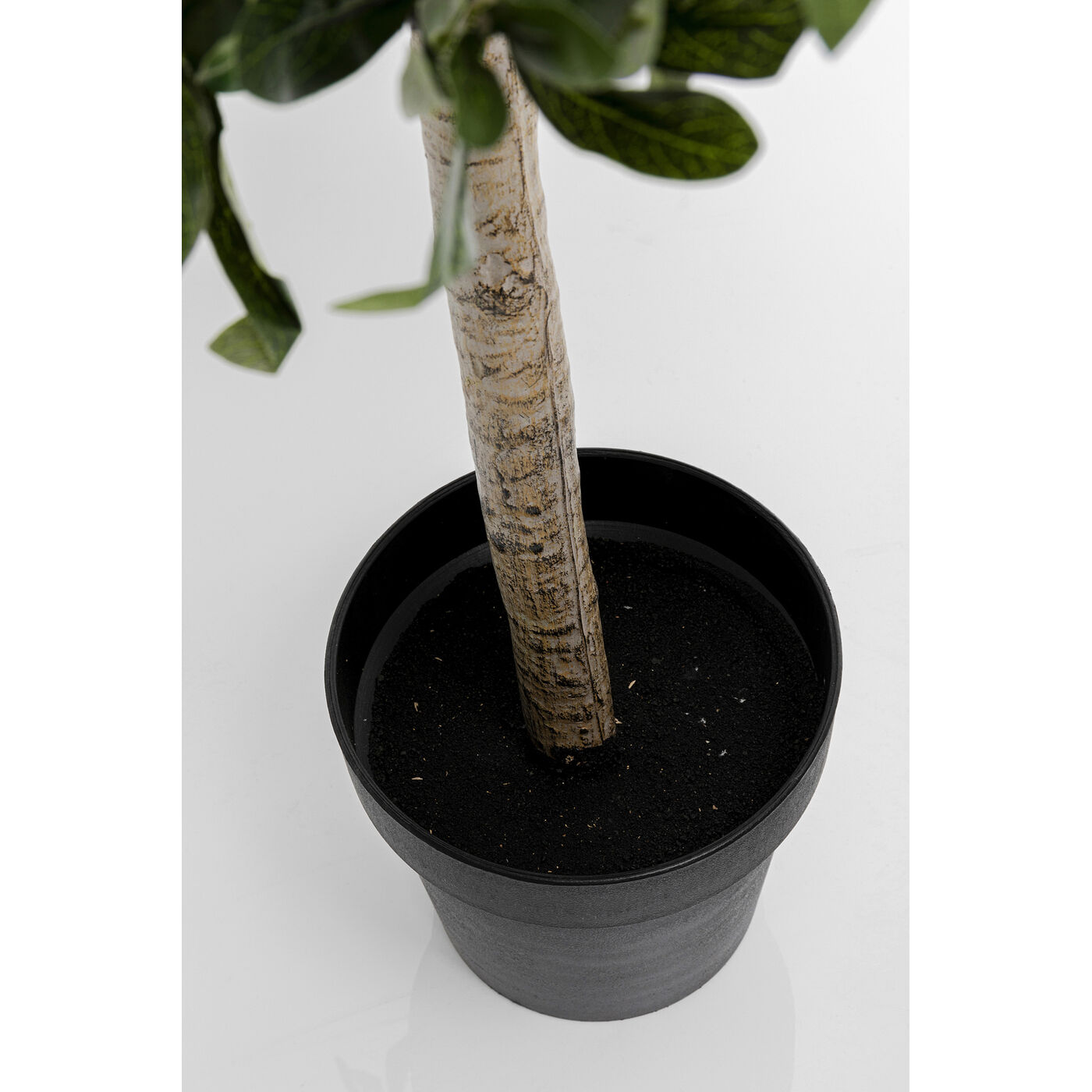 Растение декоративное Olive Tree 120 см