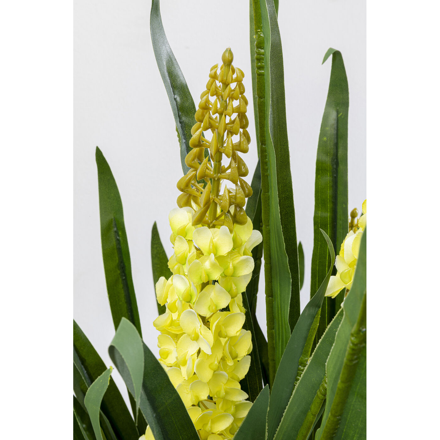 Растение декоративное Rhynchostylis 55 см