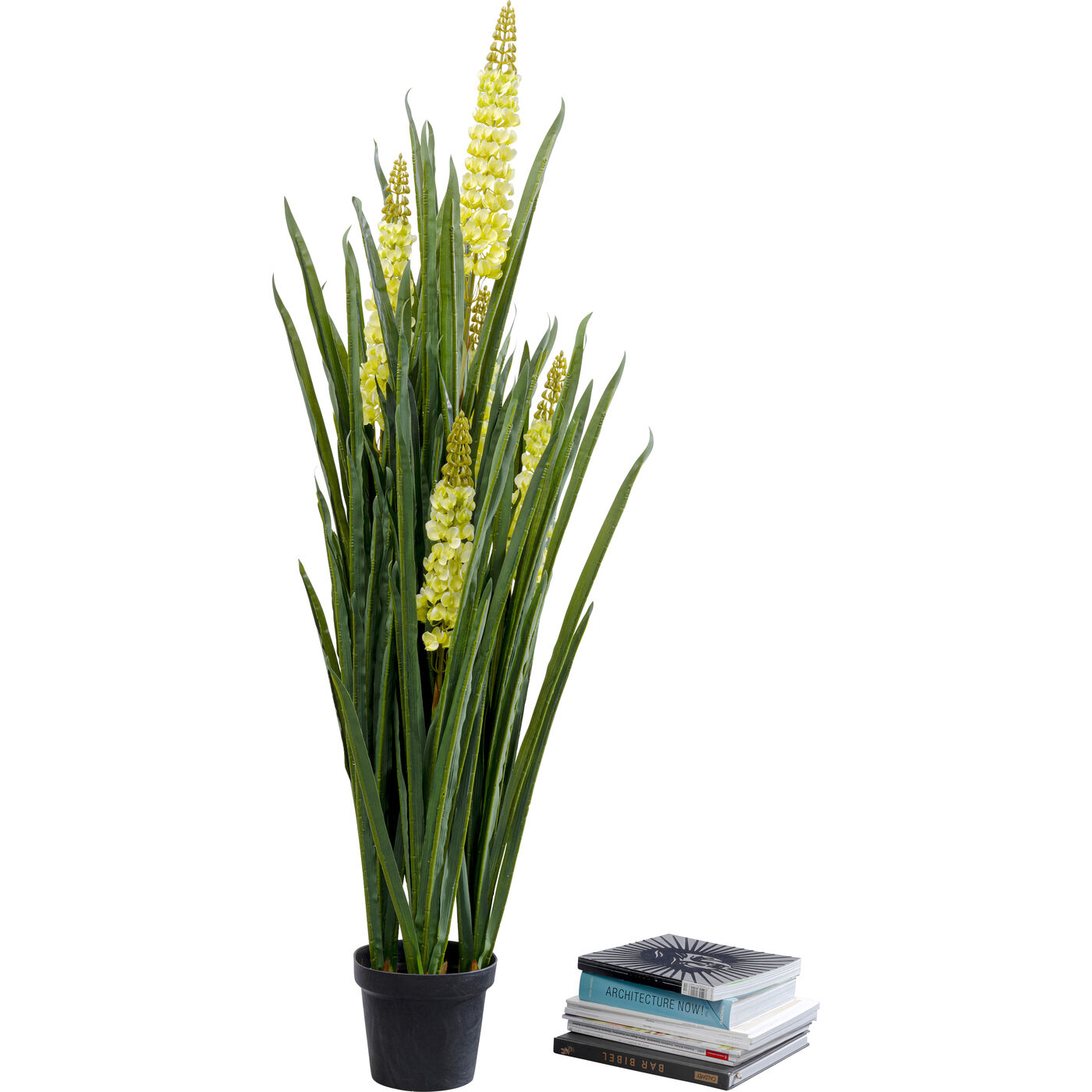 Растение декоративное Rhynchostylis 55 см
