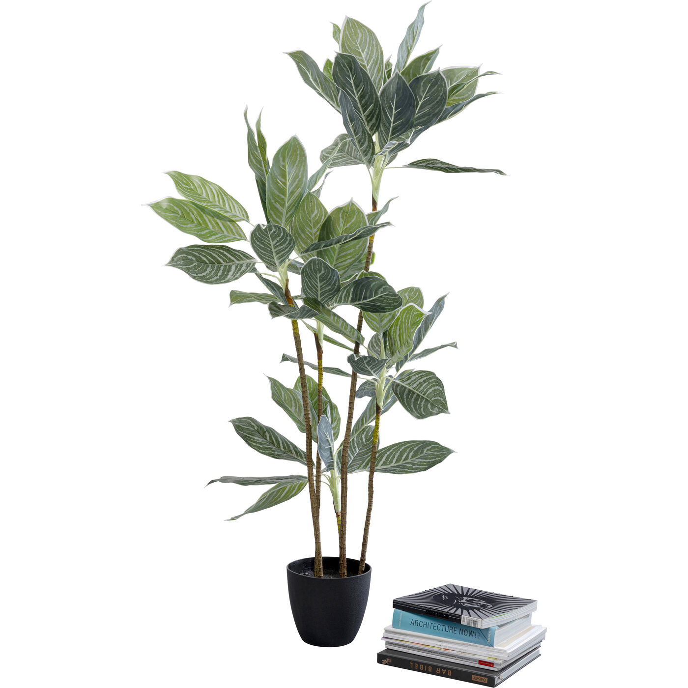Растение декоративное Calathea 140 см