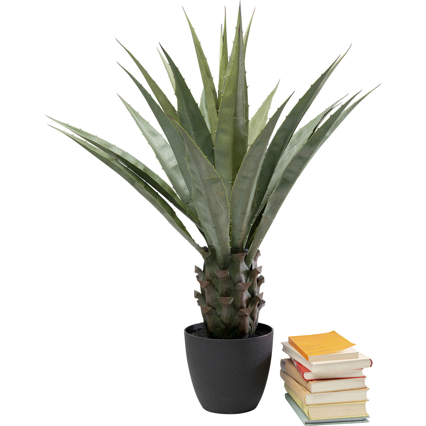 Растение декоративное Agave 85 см