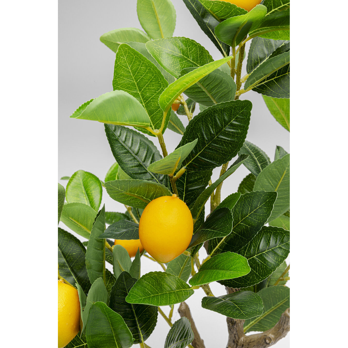 Растение декоративное Lemon Tree 60cm