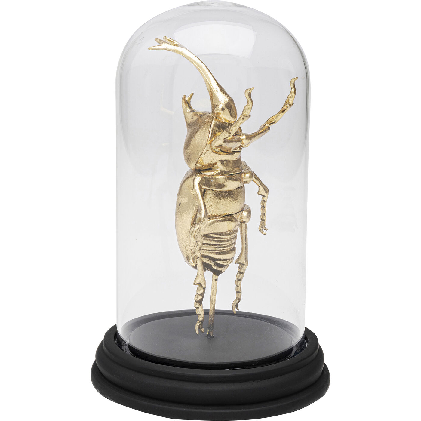 Объект декоративный Bell Jar Stag Beetle 20cm
