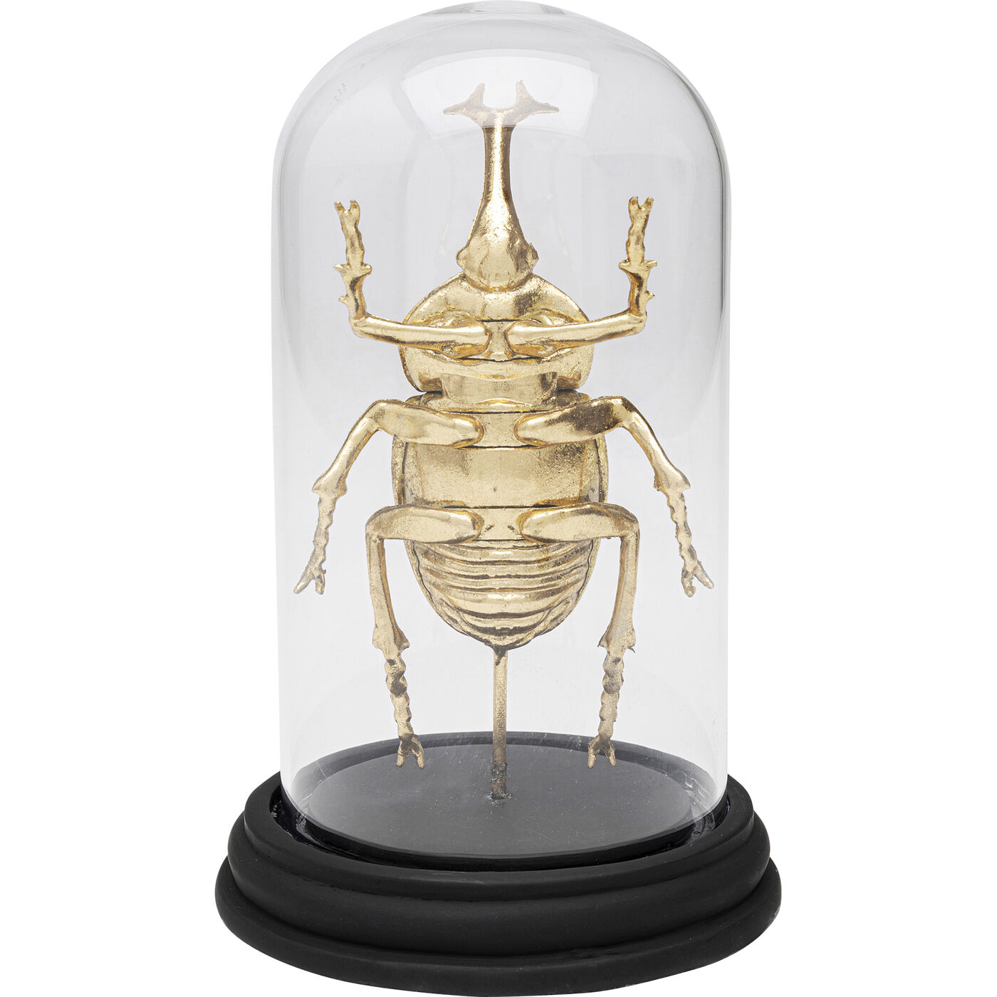 Объект декоративный Bell Jar Stag Beetle 20cm
