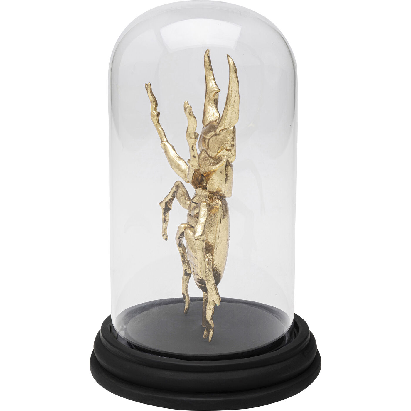 Объект декоративный Bell Jar Hercules Beetle 20cm