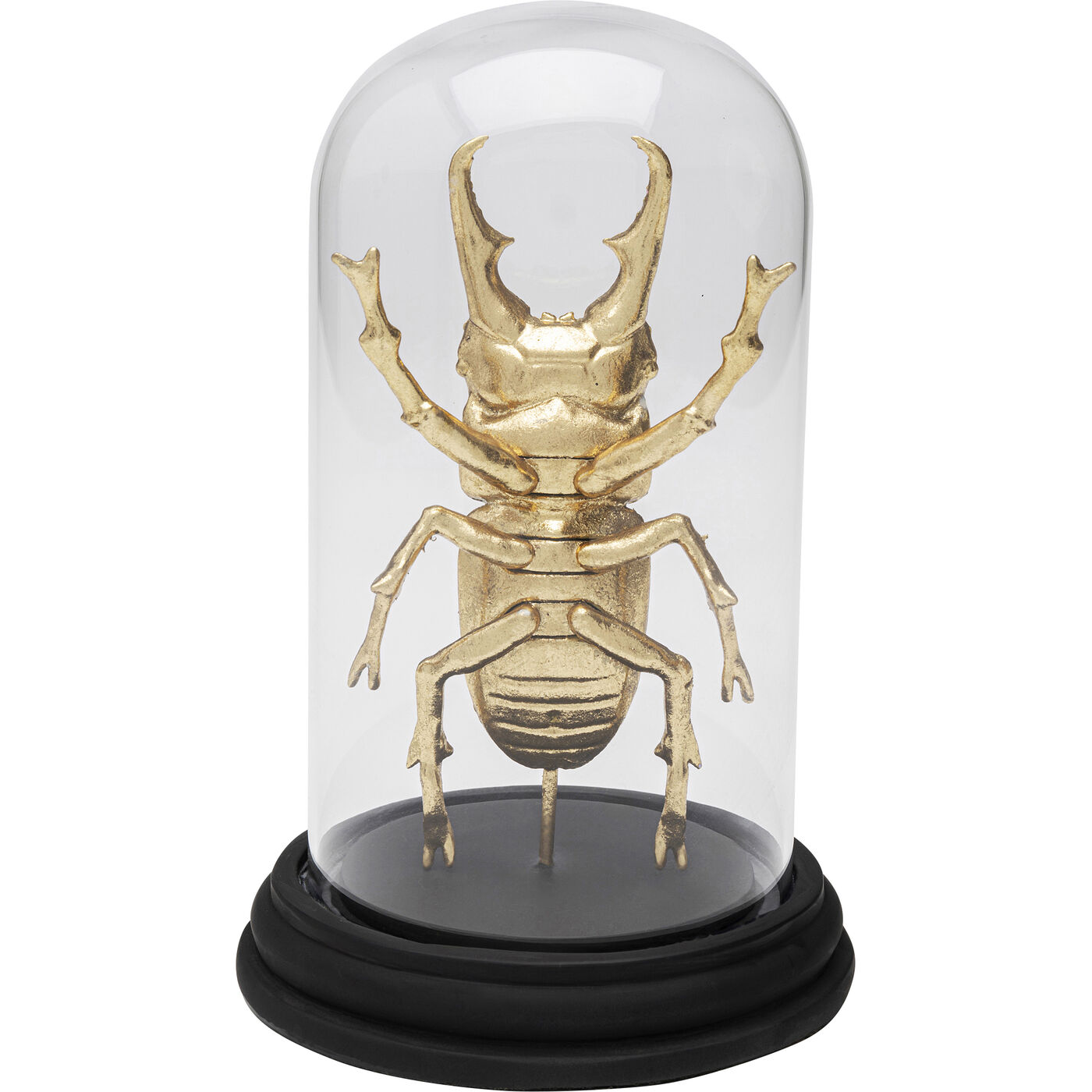 Объект декоративный Bell Jar Hercules Beetle 20cm
