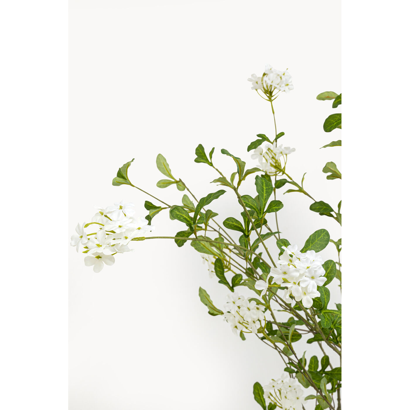 Растение декоративное PlumСумкаo Tree 152cm