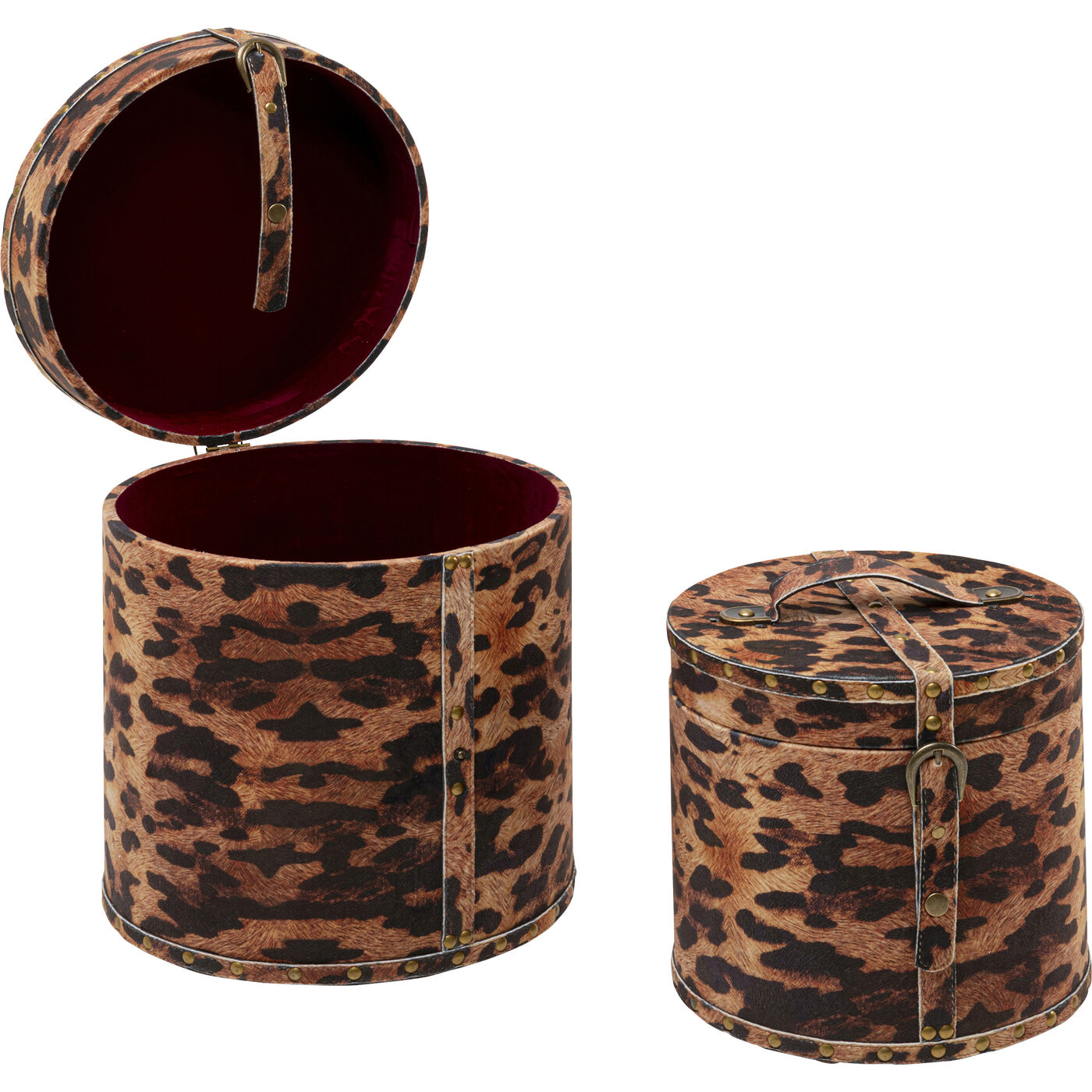 Бокс для хранения Wild Animal Leo (2/Set)
