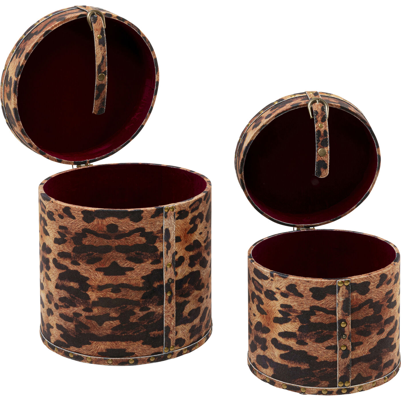 Бокс для хранения Wild Animal Leo (2/Set)