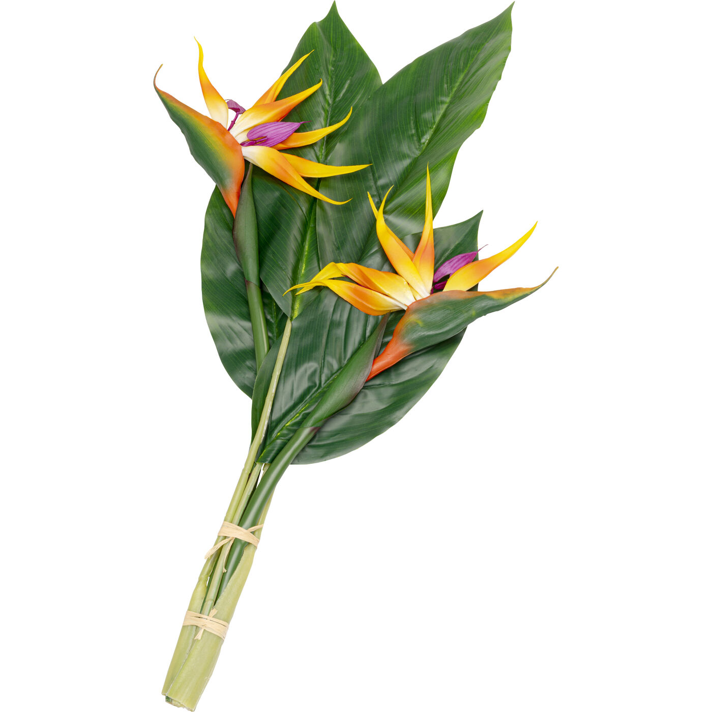 Растение декоративное Paradise Bird 70cm