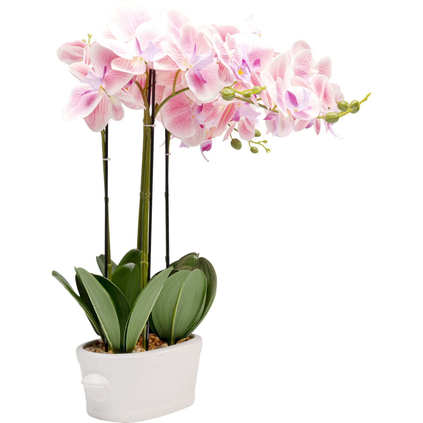 Растение декоративное Orchid Pod 55cm