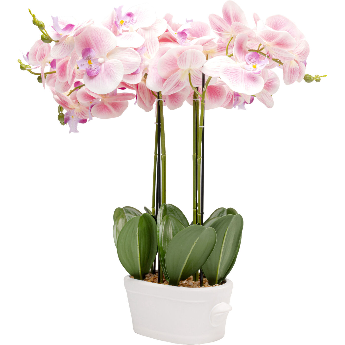 Растение декоративное Orchid Pod 55cm
