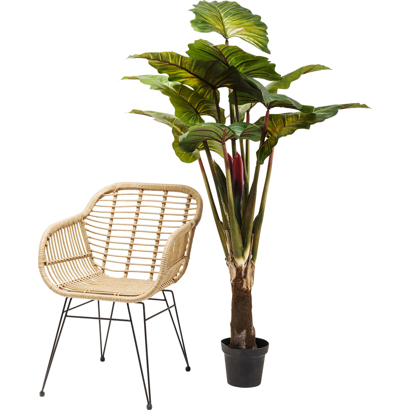 Растение декоративное Rainforest Green 160 см