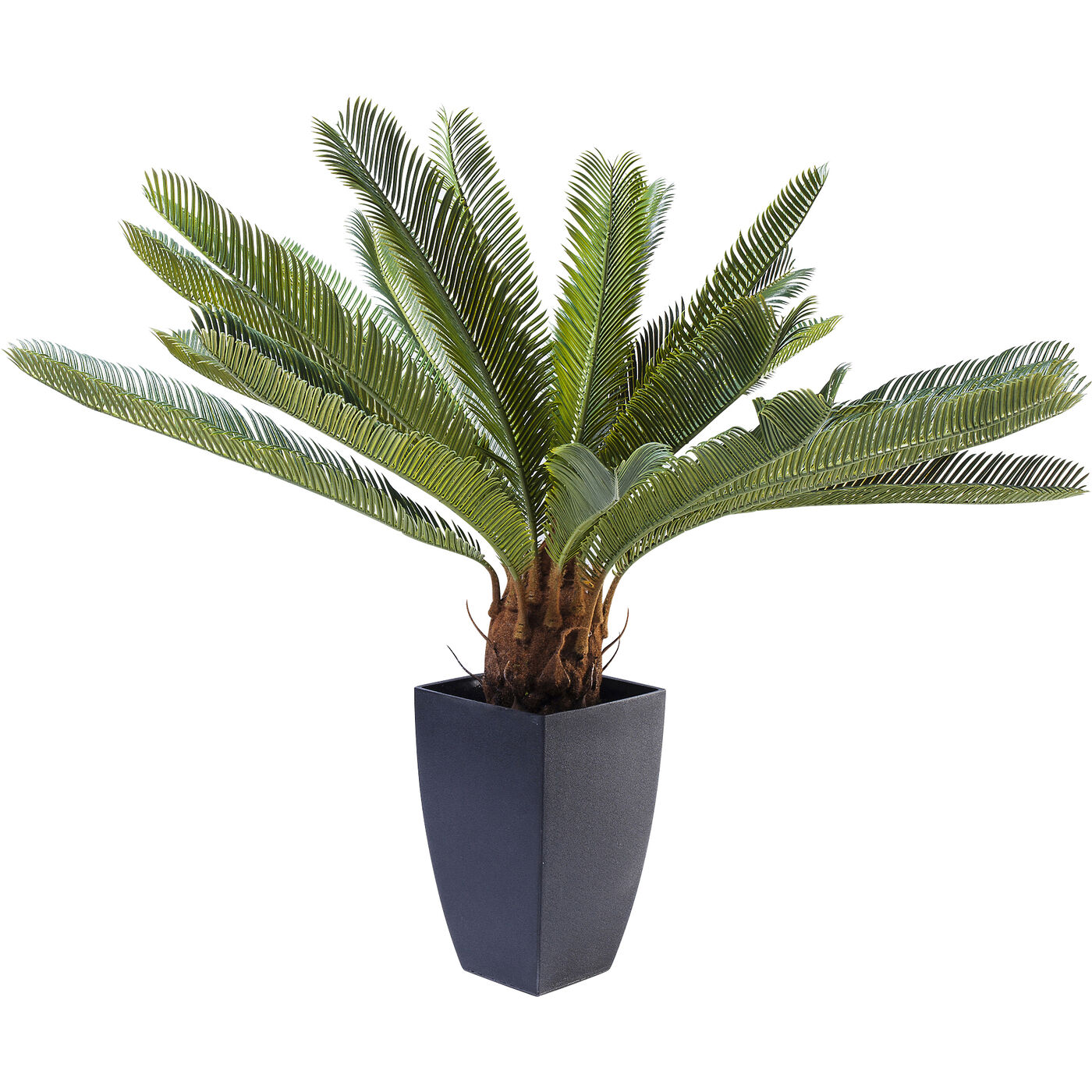 Растение декоративное Cycas Tree 78 см