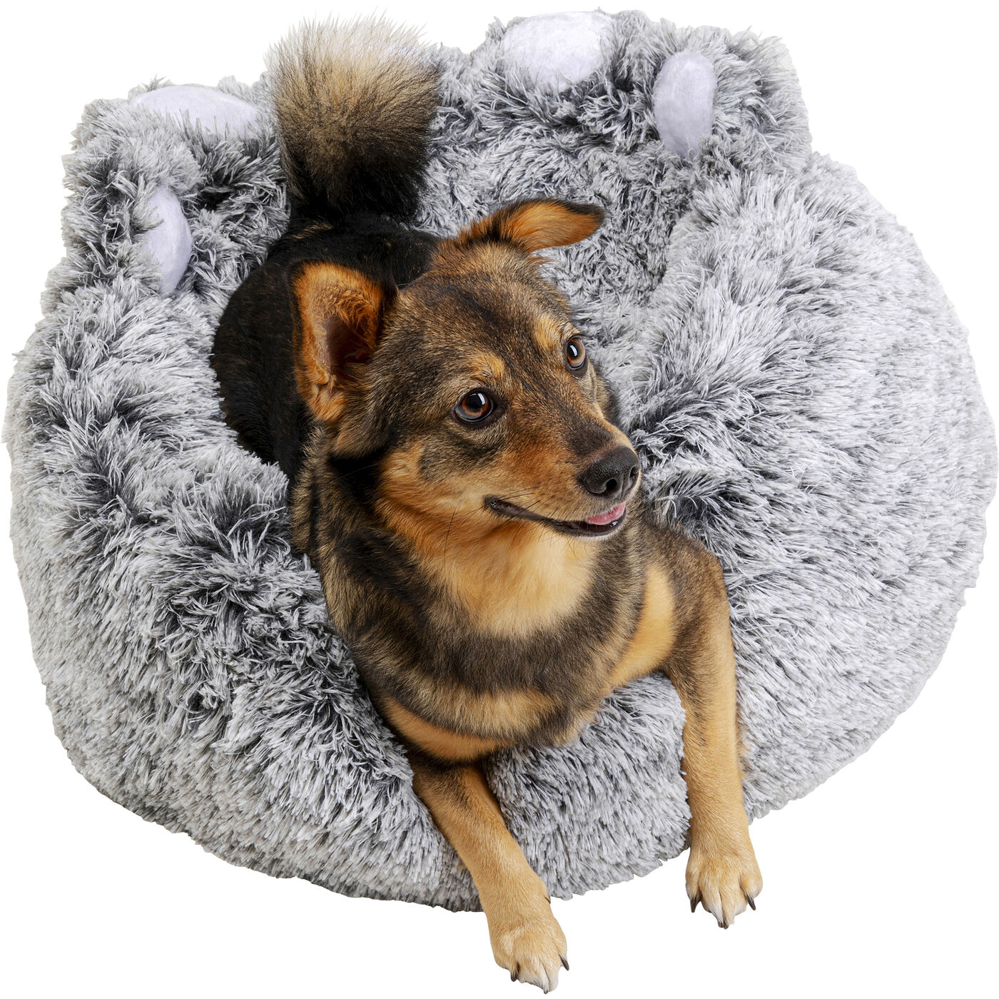 Кушетка для домашних животных Paw