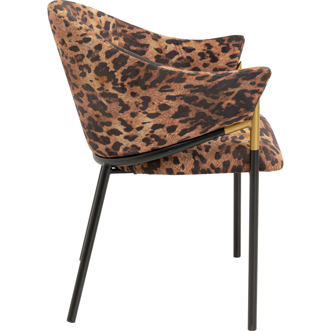 Стул с подлокотниками Wild Leo