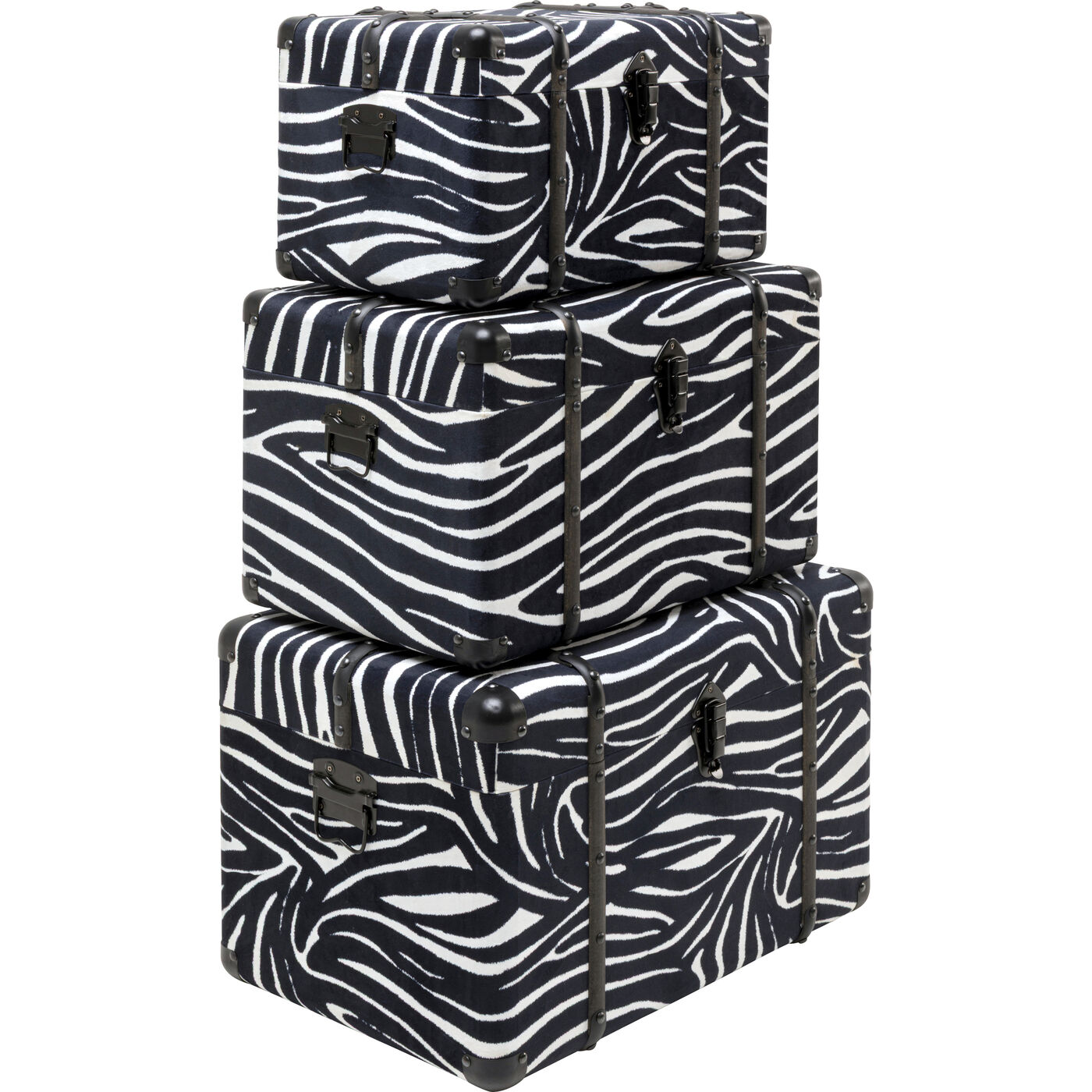 Шкатулка Wild Animal Zebra (3/Set)