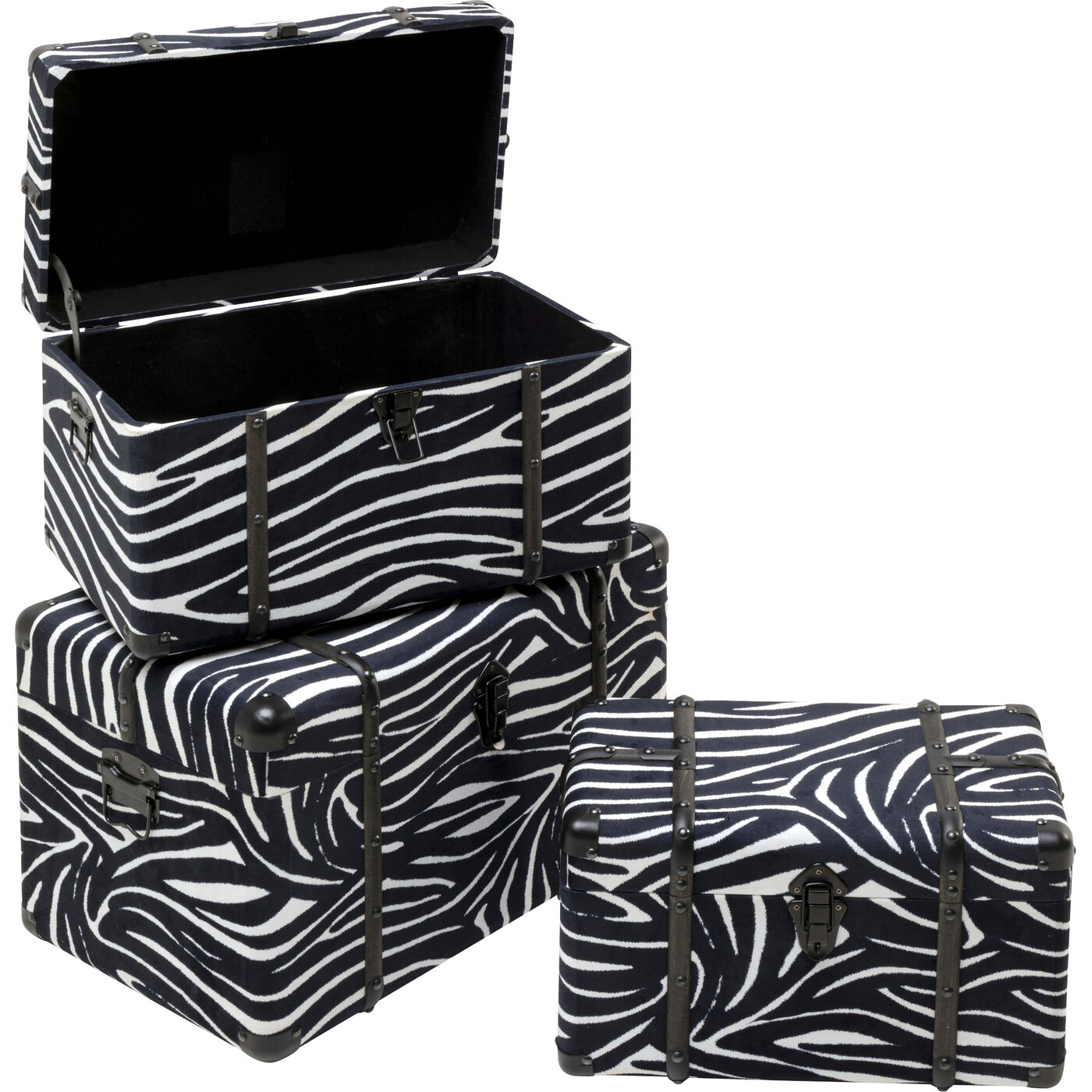 Шкатулка Wild Animal Zebra (3/Set)