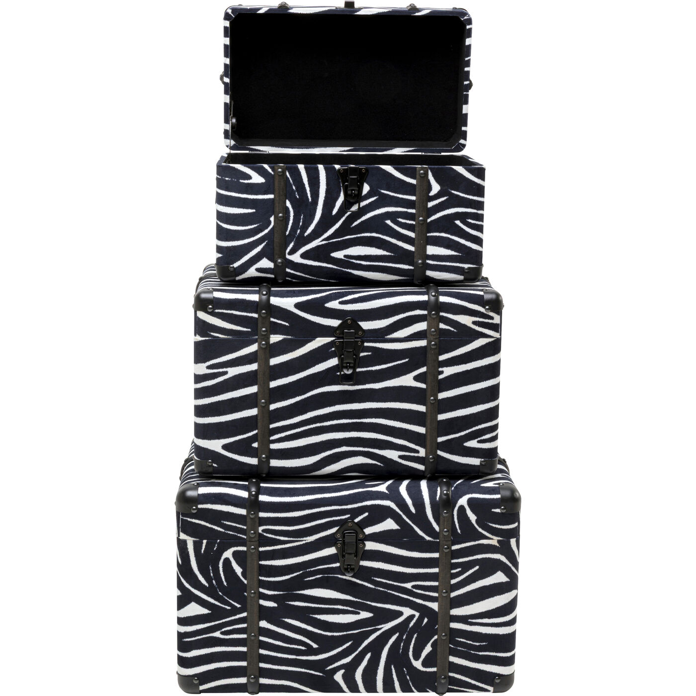 Шкатулка Wild Animal Zebra (3/Set)