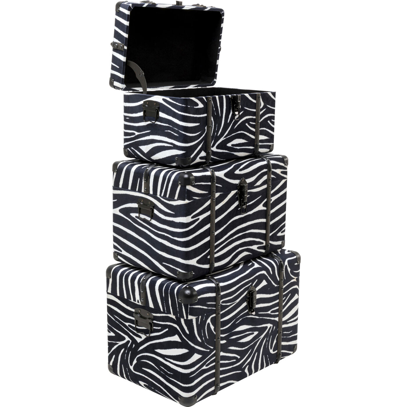 Шкатулка Wild Animal Zebra (3/Set)