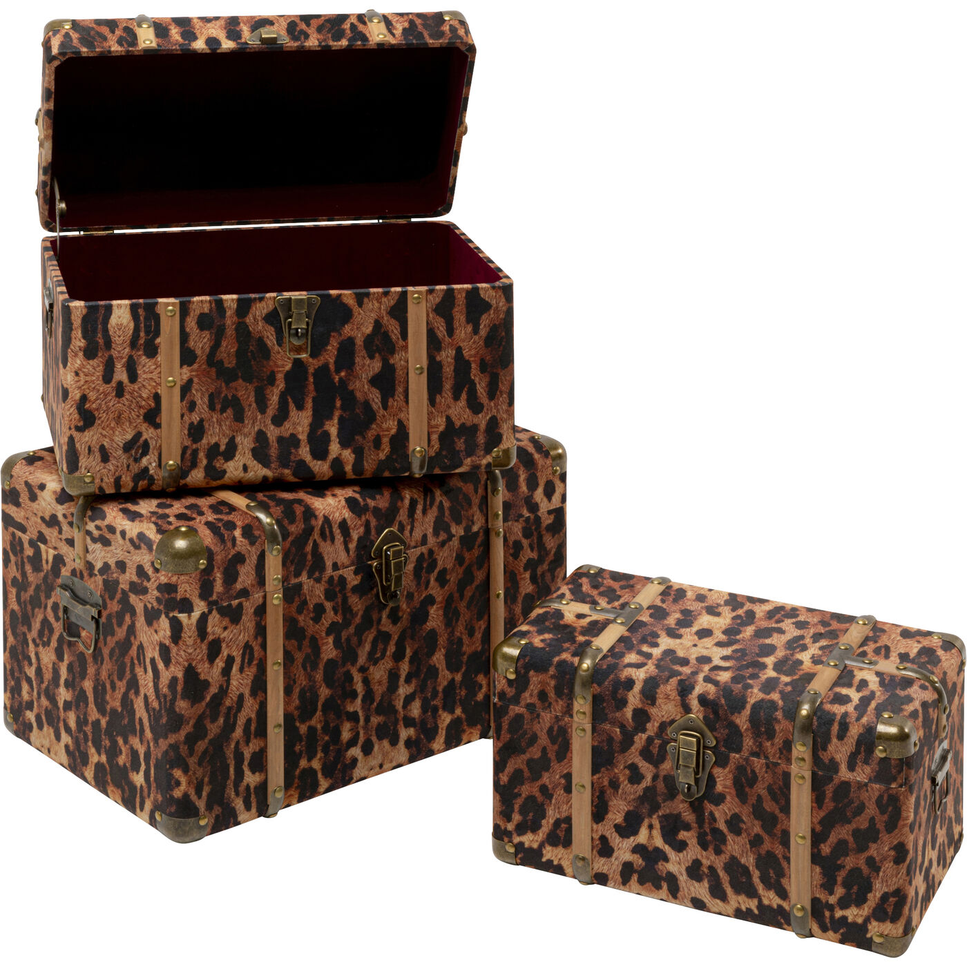 Шкатулка Wild Animal Leo (3/Set)