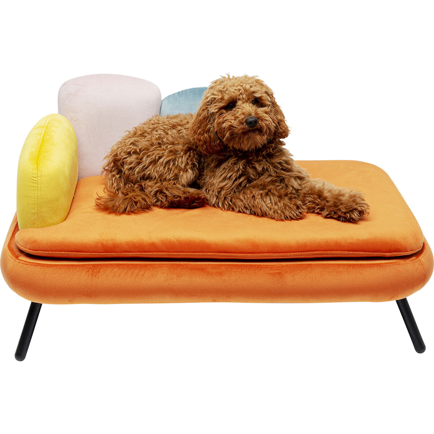 Кушетка для домашних животных Diva Orange