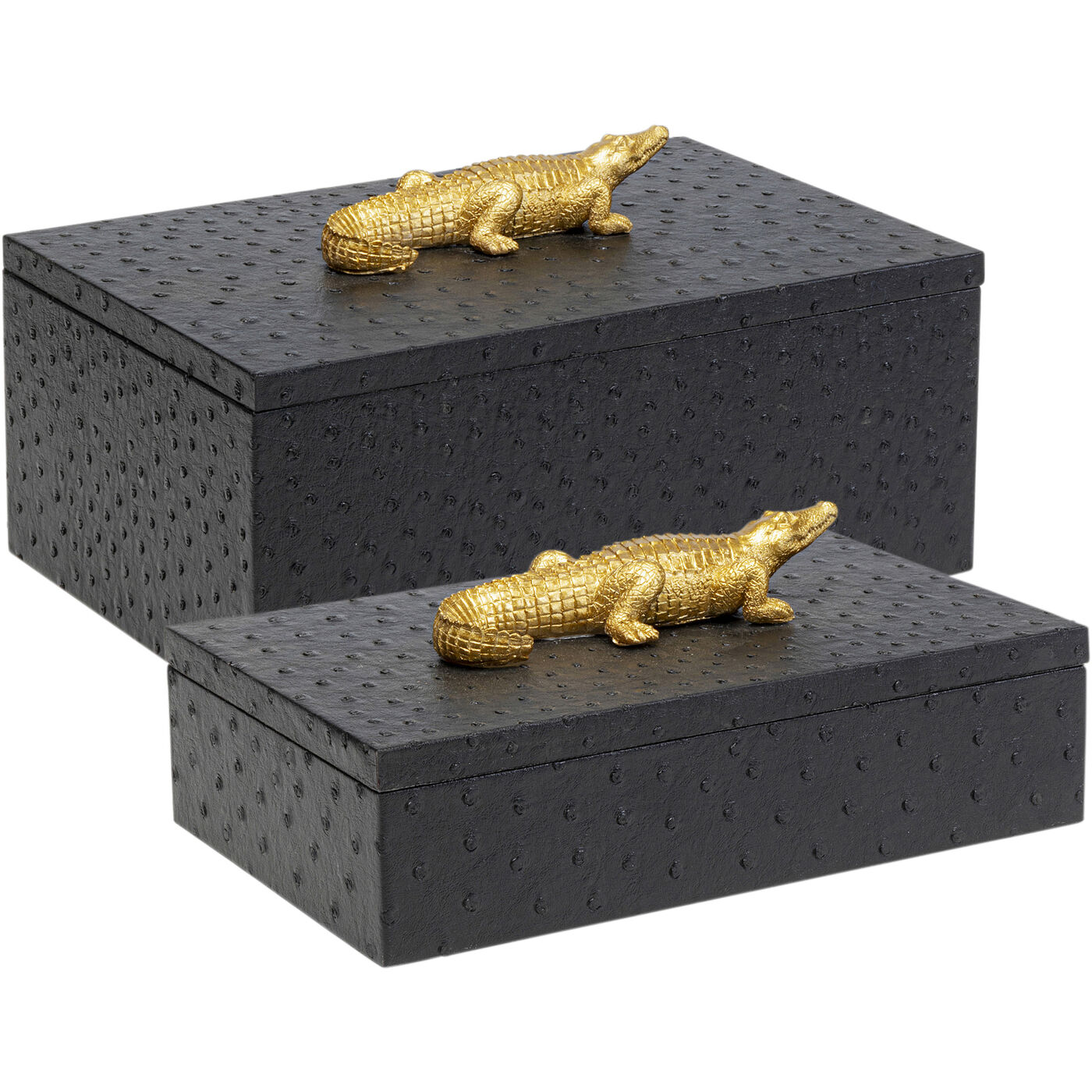 Шкатулка Crocodile Black (2 шт)