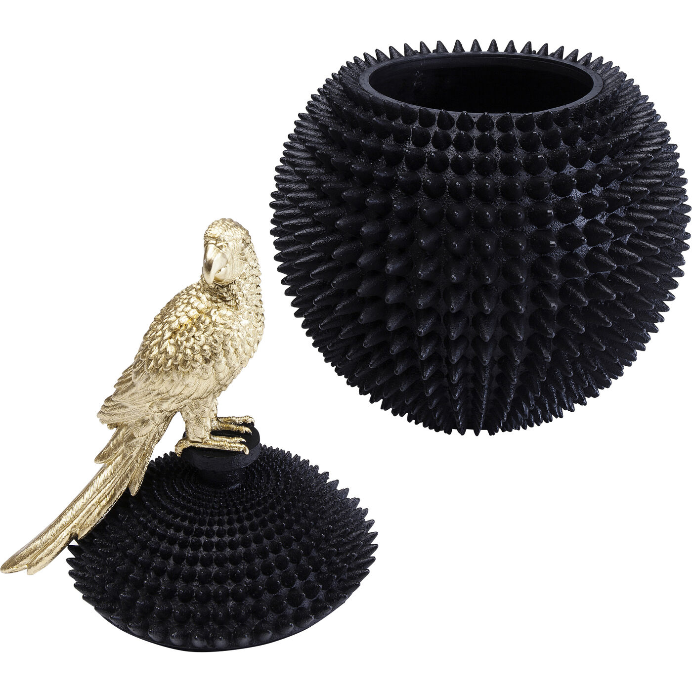 Шкатулка Parrot