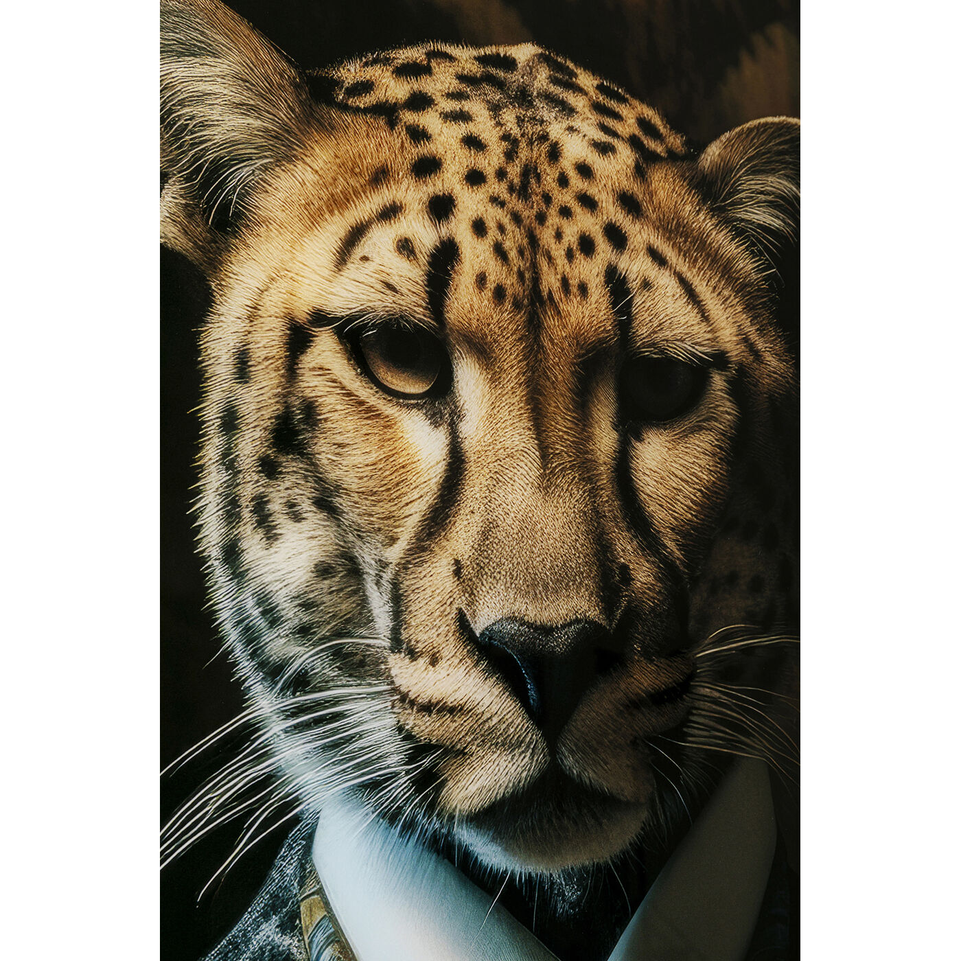 Картина стеклянная Mister Leo 40x30cm