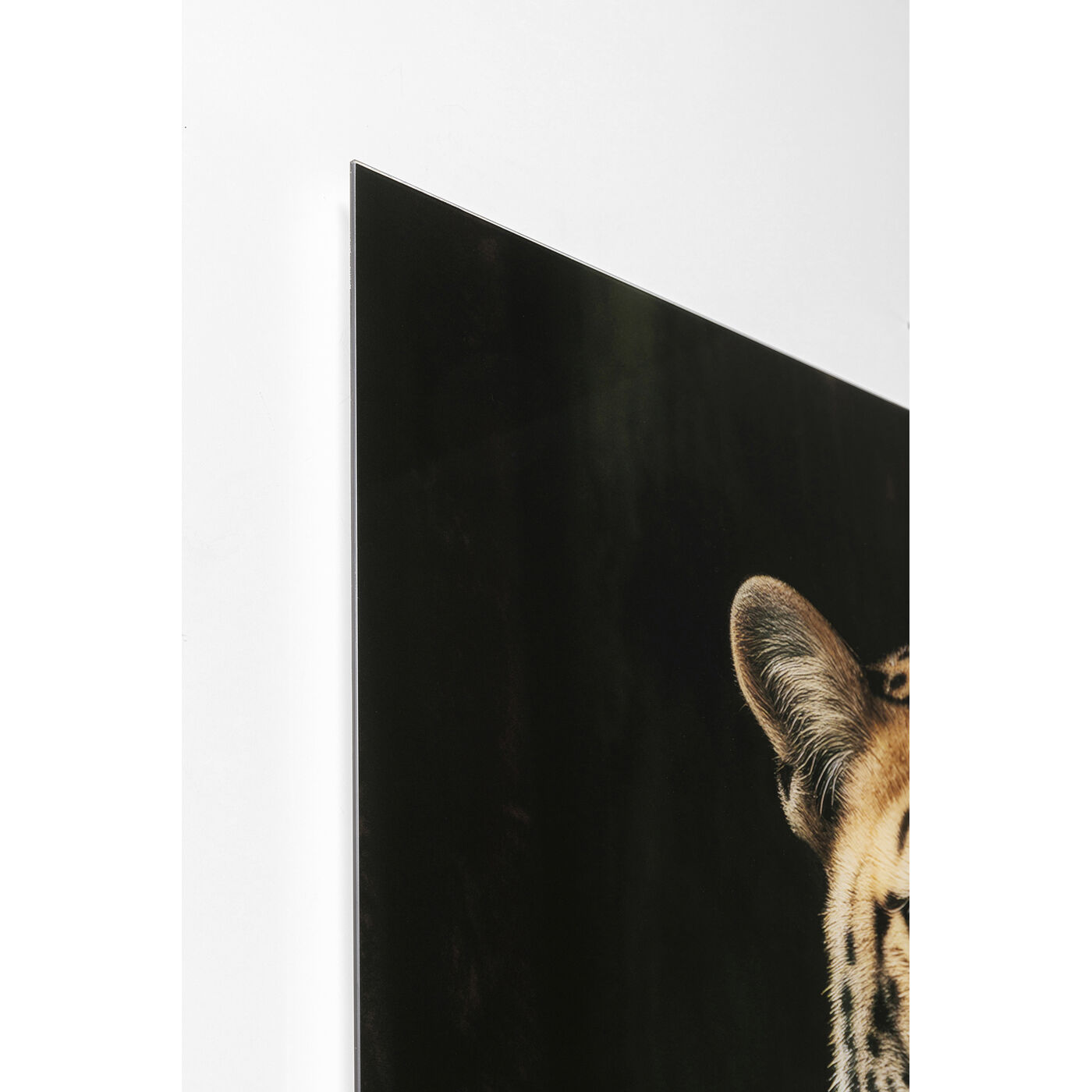 Картина стеклянная Mister Leo 100x150 см